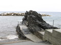 img_7990.jpg