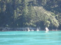img_8473.jpg
