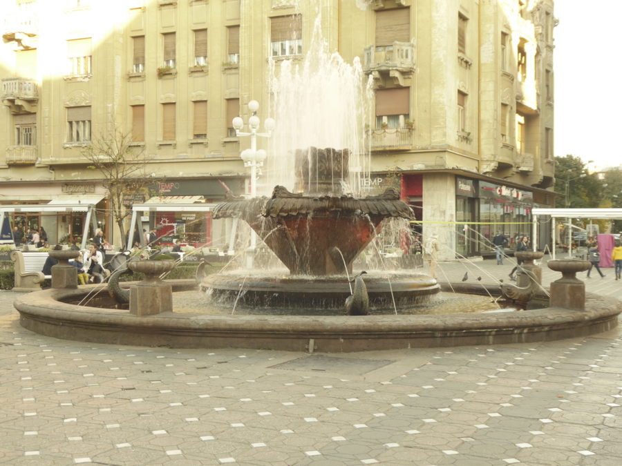P1000280.JPG